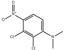 Benzenamine, 2,3-dichloro-N,N-dimethyl-4-nitro- 结构式