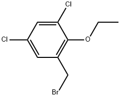 1-(Bromomethyl)-3,5-dichloro-2-ethoxybenzene 结构式