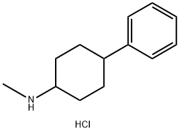 N-甲基-4-苯基环己-1-胺盐酸盐 结构式