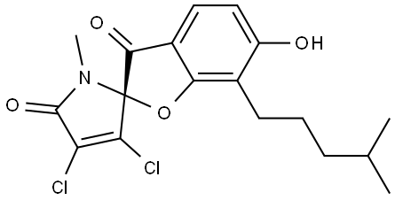 Spiro[benzofuran-2(3H),2'-[2H]pyrrole]-3,5'(1'H)-dione, 3',4'-dichloro-6-hydroxy-1'-methyl-7-(4-methylpentyl)-, (2R)- 结构式