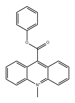 9-phenylcarboxylate-10-methylacridinium 结构式