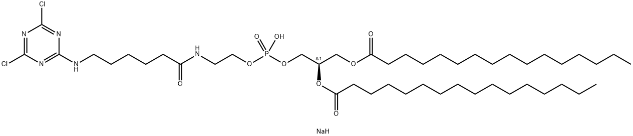 1,2-DIPALMITOYL-SN-GLYCERO-3-PHOSPHOETHANOLAMINE-N-{6-[(CYANUR)AMINO]HEXANOYL} (SODIUM SALT);16:0 CYANUR CAP PE 结构式