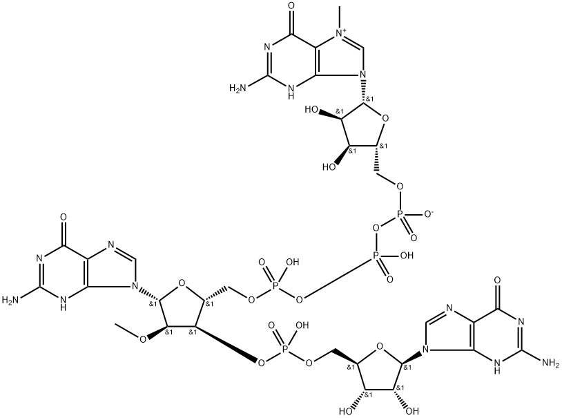 Guanosine, 7-methylguanylyloxyphosphinicooxyphosphinico-(5'→5')-2'-O-methylguanylyl-(3'→5')-, inner salt 结构式