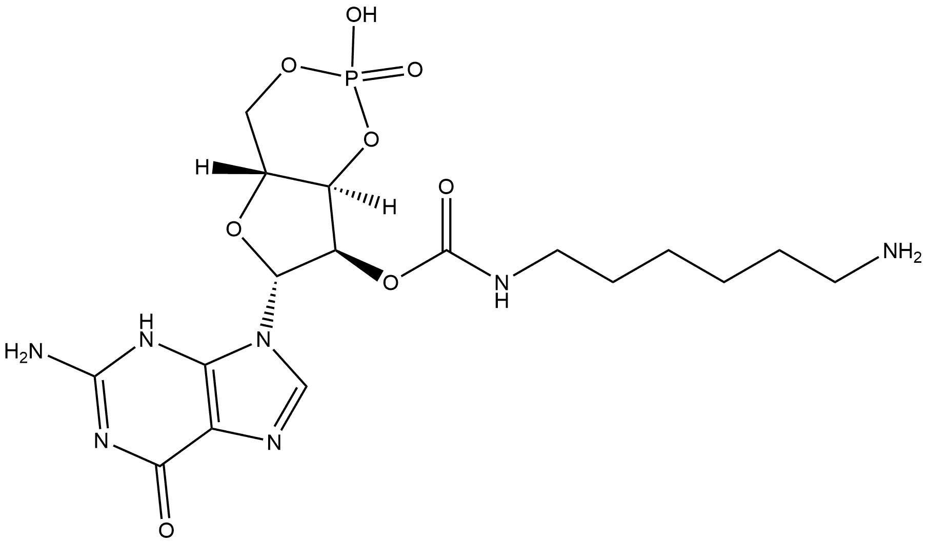 2'-AHC-cGMP 结构式