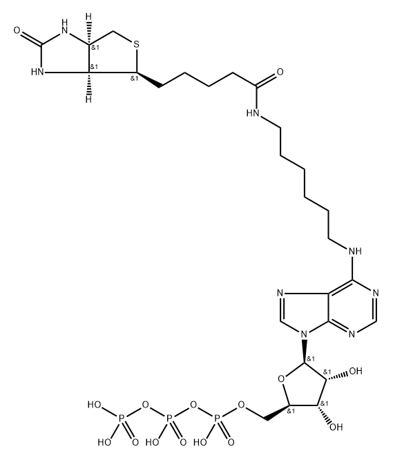 N6-(6-Amino)hexyl-ATP (Biotin) 结构式
