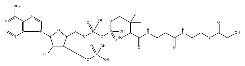 glycoyl-coenzyme A 结构式
