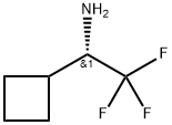 (S)-1-环丁基-2,2,2-三氟乙烷-1-胺 结构式