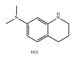 N,N-dimethyl-1,2,3,4-tetrahydroquinolin-7-amine dihydrochloride 结构式