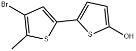 4'-Bromo-5'-methyl[2,2'-bithiophen]-5-ol 结构式