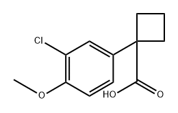 1-(3-chloro-4-methoxyphenyl)cyclobutane-1-carboxylic acid 结构式