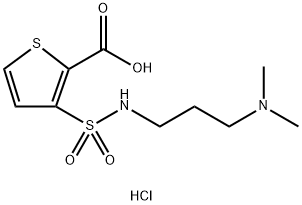 3-{[3-(二甲氨基)丙基]氨磺酰基}噻吩-2-羧酸盐酸盐 结构式