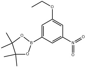 2-(3-乙氧基-5-硝基苯基)-4,4,5,5-四甲基-1,3,2-二氧杂环戊烷 结构式