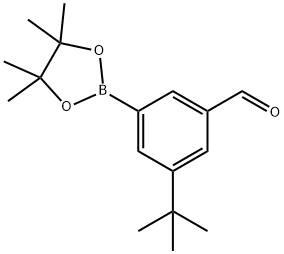 3-(tert-butyl)-5-(4,4,5,5-tetramethyl-1,3,2-dioxaborol 结构式