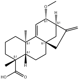 12alpha-Methoxygrandiflorenic acid 结构式