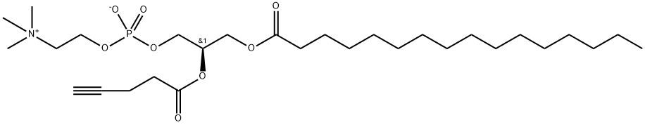 1-棕榈酰基-2-炔丙基乙酰酰磷脂酰胆碱 结构式