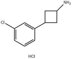 3-(3-chlorophenyl)cyclobutan-1-amine hydrochloride 结构式