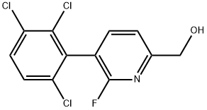 2-Fluoro-3-(2,3,6-trichlorophenyl)pyridine-6-methanol