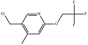 5-(Chloromethyl)-4-methyl-2-(2,2,2-trifluoroethoxy)pyridine 结构式