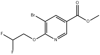 methyl 5-bromo-6-(2,2-difluoroethoxy)nicotinate 结构式