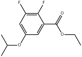 Ethyl 2,3-difluoro-5-(1-methylethoxy)benzoate 结构式