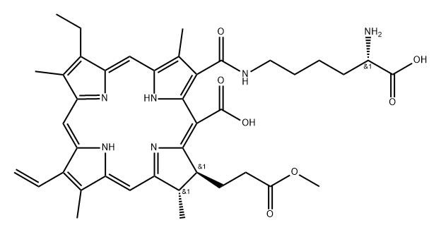 lysyl chlorin p6 结构式