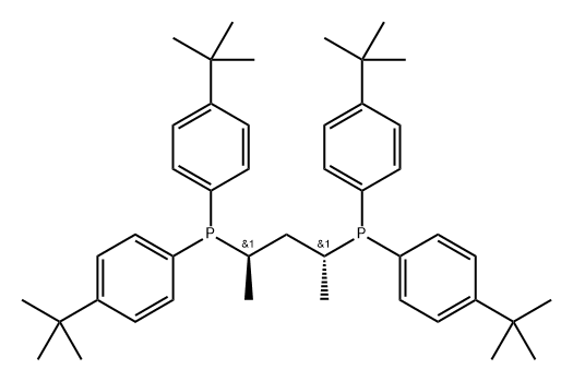Phosphine, 1,1'-[(1R,3R)-1,3-dimethyl-1,3-propanediyl]bis[1,1-bis[4-(1,1-dimethylethyl)phenyl]- 结构式