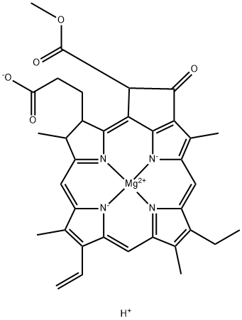 chlorophyllide a 结构式