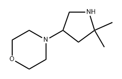 4-(5,5-dimethylpyrrolidin-3-yl)morpholine 结构式