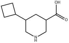 5-cyclobutylpiperidine-3-carboxylicacid 结构式