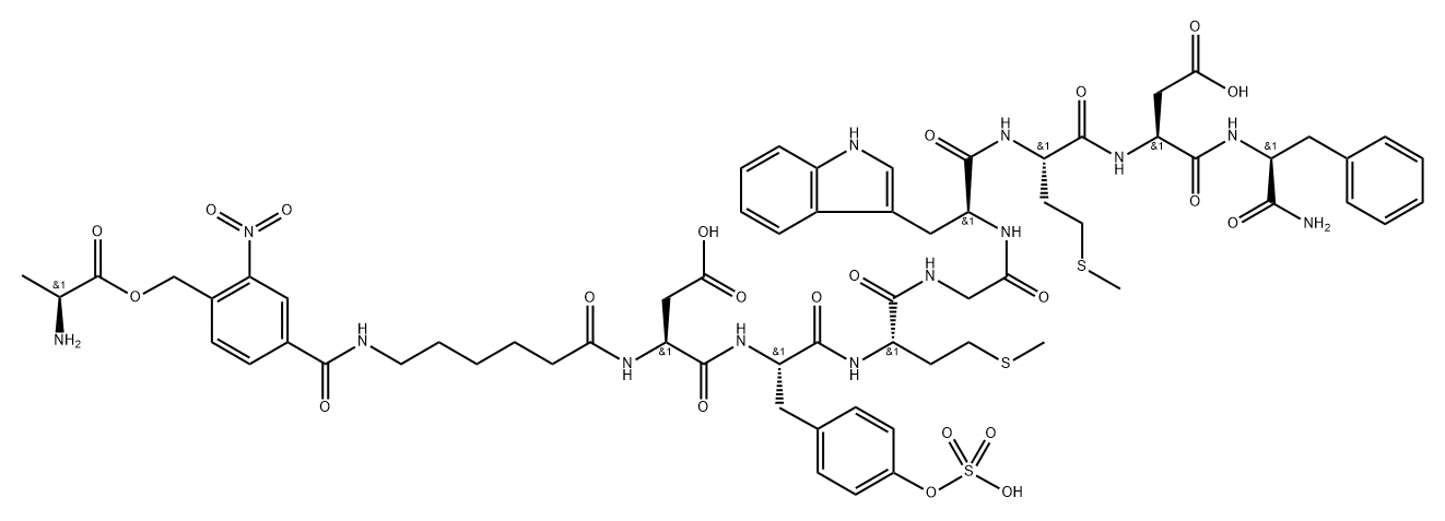 4-alanyloxymethyl-3-nitrobenzoyl-epsilon-aminohexanoyl-cholecystokinin 结构式