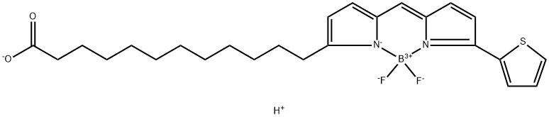 BODIPY 558/568 C12 结构式