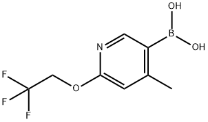 (4-methyl-6-(2,2,2-trifluoroethoxy)pyridin-3-yl)boronic acid 结构式