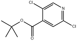 Tert-butyl 2,5-dichloroisonicotinate 结构式