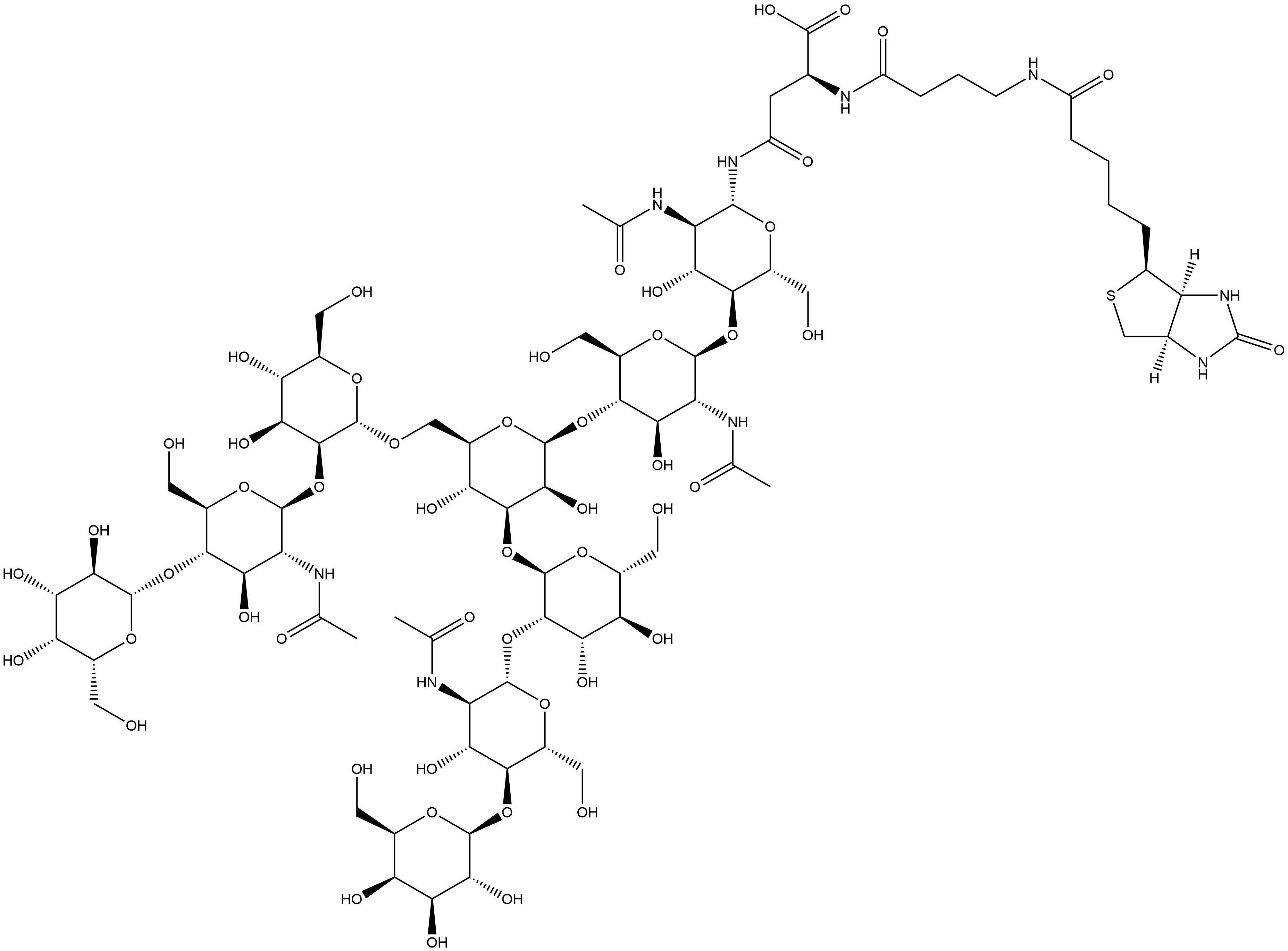 3aS-(3aα,4β,6aα)]-N-[O-β-D-galactopyranosyl-(1→4)-O-2-(acetylamino)-2-deoxy-β-D-glucopyranosyl-(1→2)-O-α-D-mannopyranosyl-(1→3)-O-[O-β-D-galactopyranosyl-(1→4)-O-2-(acetylamino)-2-deoxy-β-D-glucopyranosyl-(1→2)-α-D-mannopyranosyl-(1→6)]-O-β-D-mannopyranosyl-(1→4)-O-2-(acetylamino)-2-deoxy-β-D-glucopyranosyl-(1→4)-2-(acetylamino)-2-deoxy-β-D-glucopyranosyl]-N2-[4-[[5-(hexahydro-2-oxo-1H-thieno[3,4-d]imidazol-4-yl)-1-oxopentyl]amino]-1-oxobutyl]-L-Asparagine 结构式