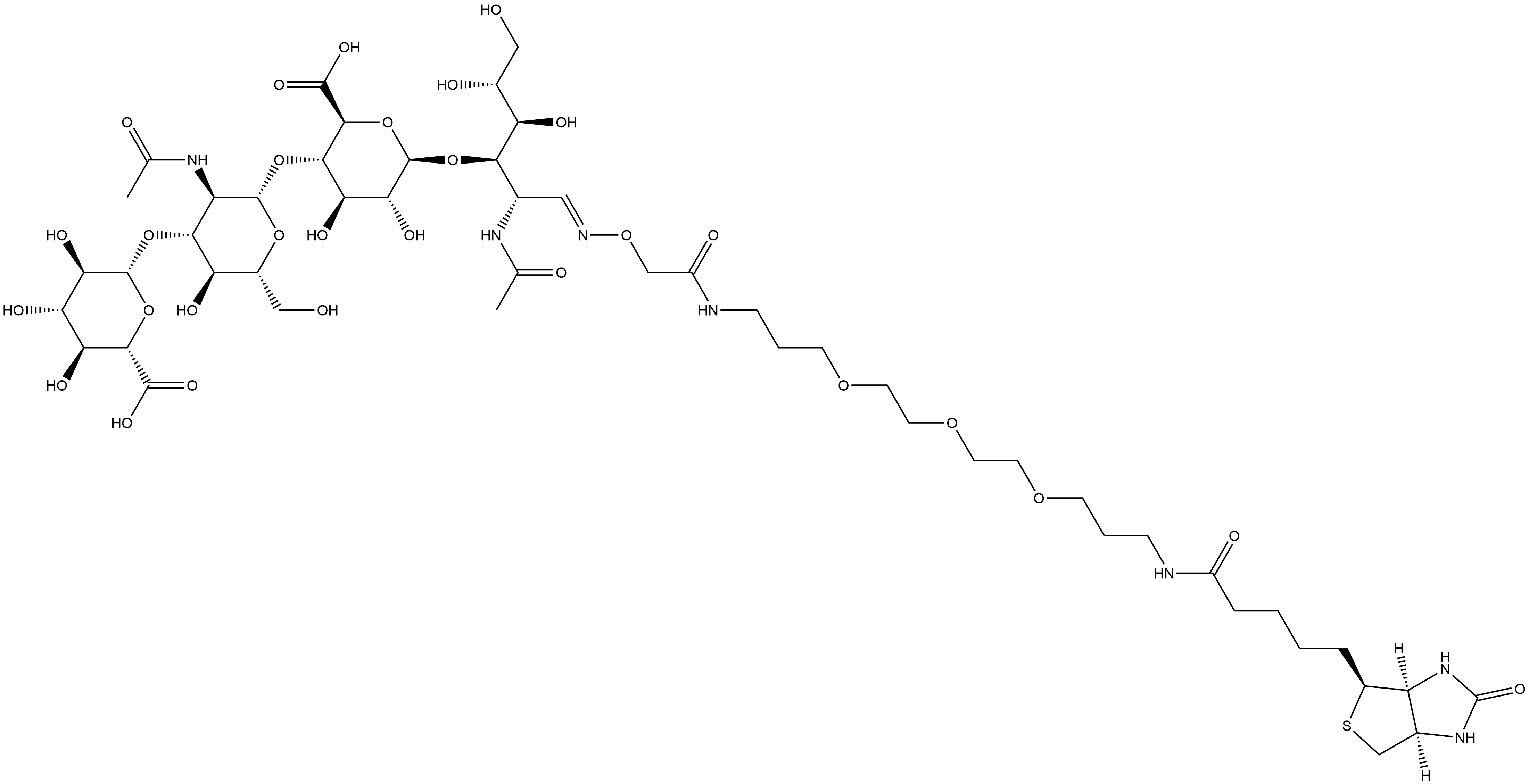 (1E)-O-β-D-Glucopyranuronosyl-(1→3)-O-2-(acetylamino)-2-deoxy-β-D-glucopyranosyl-(1→4)-O-β-D-glucopyranuronosyl-(1→3)-2-(acetylamino)-2-deoxy-D-glucose 1-[O-[22-[(3aS,4S,6aR)-hexahydro-2-oxo-1H-thieno[3,4-d]imidazol-4-yl]-2,18-dioxo-7,10,13-trioxa-3,17-diazadocos-1-yl]oxime 结构式