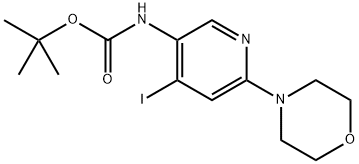 tert-butyl (4-iodo-6-morpholinopyridin-3-yl)carbamate 结构式