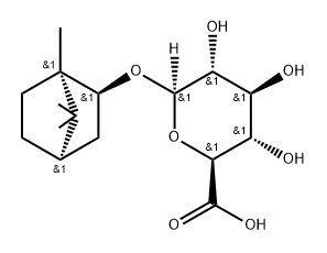 Borneol glucuronide 结构式