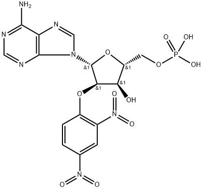 POLY[2'-O-(2,4-DINITROPHENYL)]POLY(A)* 结构式