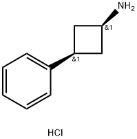 cis-3-Phenylcyclobutan-1-amine Hydrochloride 结构式