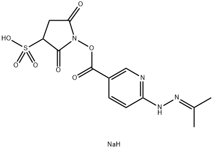 3-Pyridinecarboxylic acid, 6-[2-(1-methylethylidene)hydrazinyl]-, 2,5-dioxo-3-sulfo-1-pyrrolidinyl ester, sodium salt (1:1) 结构式