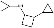 N,2-dicyclopropylcyclobutan-1-amine 结构式
