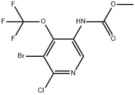 methyl(5-bromo-6-chloro-4-(trifluoromethoxy)pyridin-3-yl)carbamate 结构式