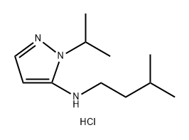 1-isopropyl-N-(3-methylbutyl)-1H-pyrazol-5-amine 结构式