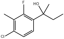 2-(4-chloro-2-fluoro-3-methylphenyl)butan-2-ol 结构式