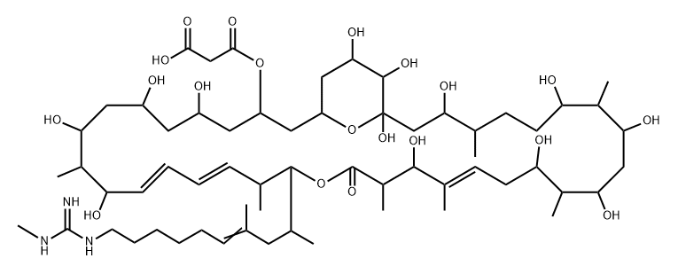 Propanedioic acid, 1-[5,7,9,11,21,25,27,29,31,35,37,38,39-tridecahydroxy-17-[9-[[imino(methylamino)methyl]amino]-1,3-dimethyl-3-nonen-1-yl]-10,16,20,22,26,30,34-heptamethyl-19-oxo-18,41-dioxabicyclo[35.3.1]hentetraconta-12,14,22-trien-3-yl] ester, (+)- 结构式