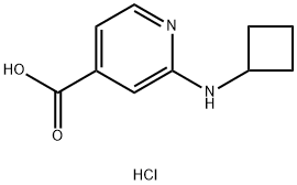 2-(环丁基氨基)异烟酸盐酸盐 结构式