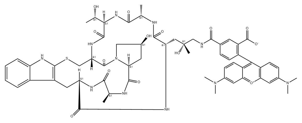 ((R)-4-HYDROXY-4-METHYL-ORN(5-TAMRA))-PHALLOIDIN 结构式