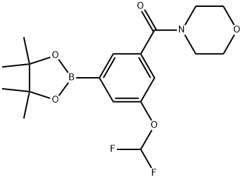 Methanone, [3-(difluoromethoxy)-5-(4,4,5,5-tetramethyl-1,3,2-dioxaborolan-2-yl)phenyl]-4-morpholinyl- 结构式