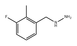 (3-fluoro-2-methylphenyl)methyl]hydrazine 结构式