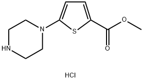 methyl 5-(piperazin-1-yl)thiophene-2-carboxylate hydrochloride 结构式